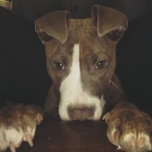 Meet your Posher, Rick